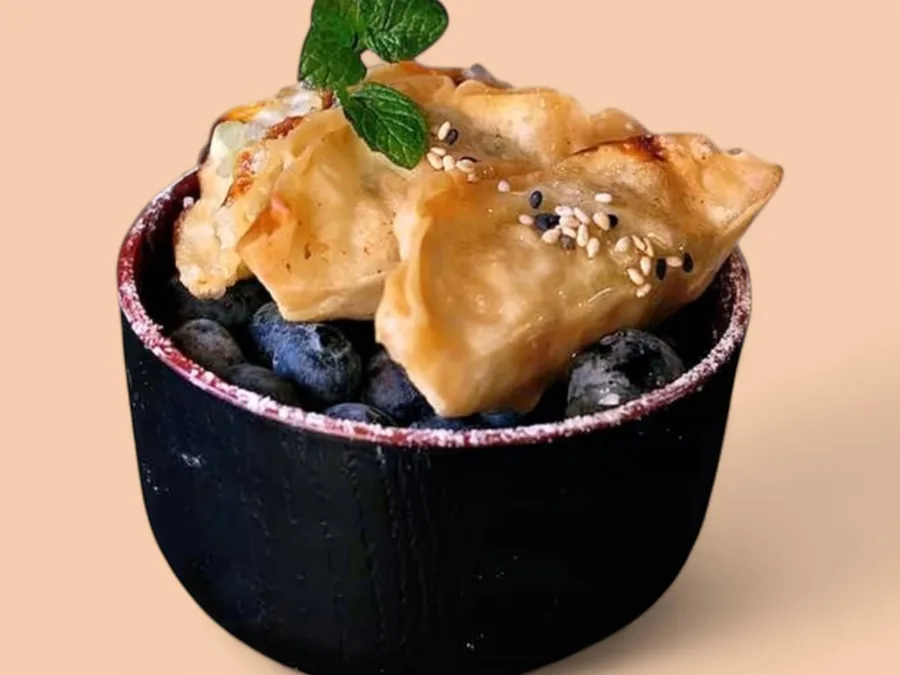 Apfeltaschen Gyoza